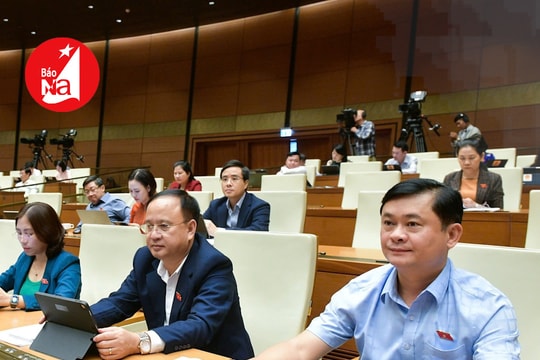 Điểm tin ngày 22/11