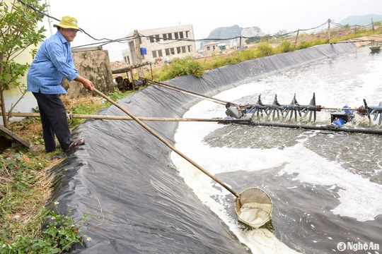 Thời tiết Nghệ An ngày 13/2: Mưa nhỏ rải rác, trời rét