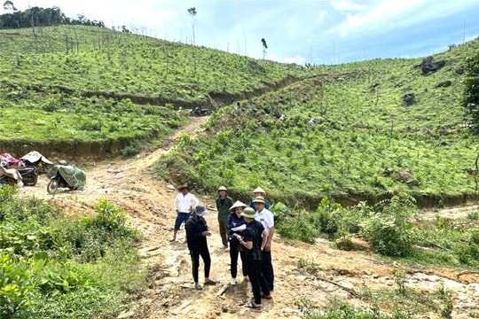 Quy định về hòa giải tranh chấp đất đai