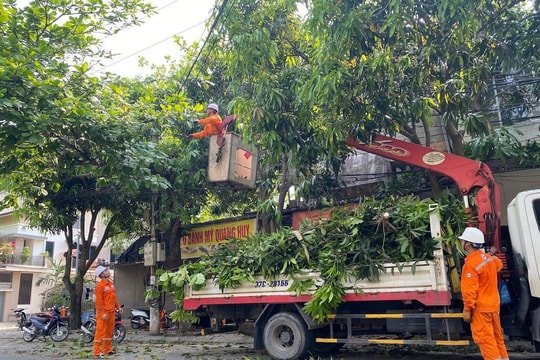 Nghệ An tăng cường xử lý vi phạm hành lang an toàn lưới điện