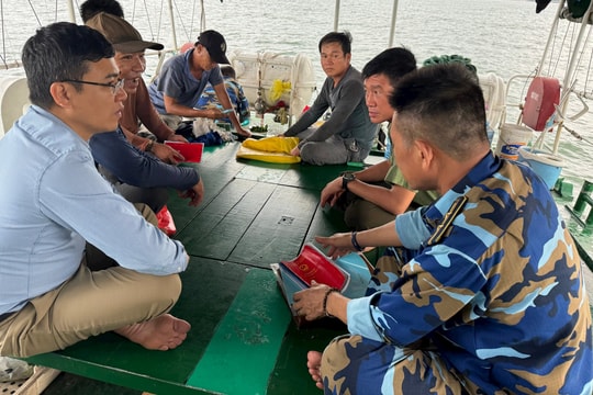 Quỳnh Lưu quyết tâm gỡ thẻ vàng trong khai thác hải sản