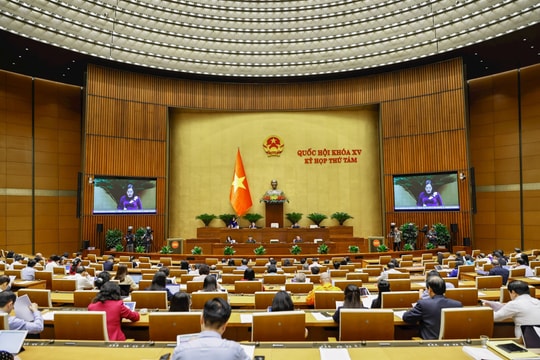 Đại biểu Quốc hội đề nghị để cơ quan báo chí tự quyết định diện tích quảng cáo trên báo in