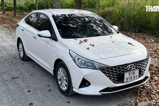 Vì sao không nên để lá cây rụng bám lâu ngày trên ô tô?