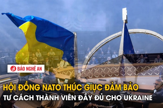 Hội đồng NATO thúc giục đảm bảo tư cách thành viên đầy đủ cho Ukraine