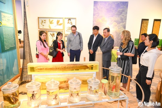 Đại sứ quán Anh tại Việt Nam thăm và làm việc với Vườn Quốc gia Pù Mát