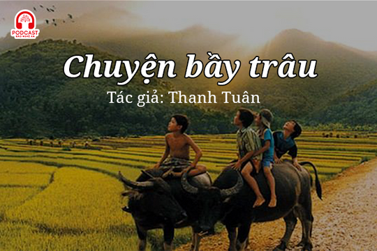 Tản văn hay: Chuyện bầy trâu