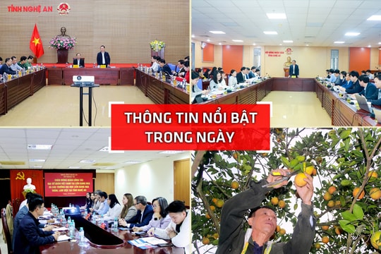 Nghệ An: Thông tin nổi bật ngày 27/11
