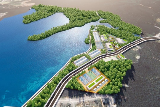 Đồng ý chủ trương tổ chức lại Ban Quản lý Khu lâm nghiệp ứng dụng công nghệ cao vùng Bắc Trung Bộ