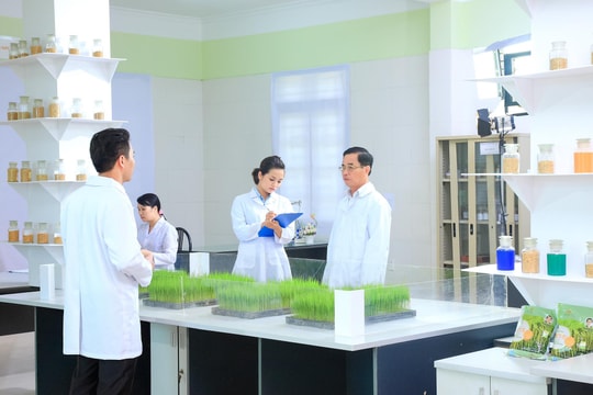 20 năm Viện Nghiên cứu cây trồng của Tập đoàn ThaiBinh Seed