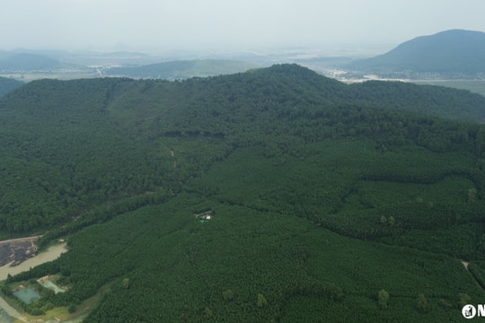 Quy định về giải quyết khiếu nại, tố cáo về sử dụng, quản lý đất đai