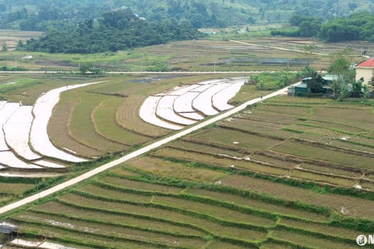 Người Mông Nghệ An 'thay áo mới' cho ruộng bậc thang