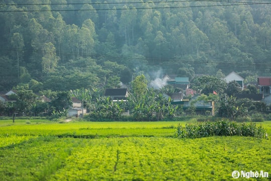 Thời tiết Nghệ An ngày 30/11: Không mưa, ngày trời nắng