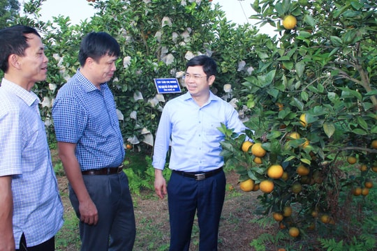 Kết quả thực hiện chỉ tiêu kinh tế - xã hội huyện Thanh Chương năm 2024