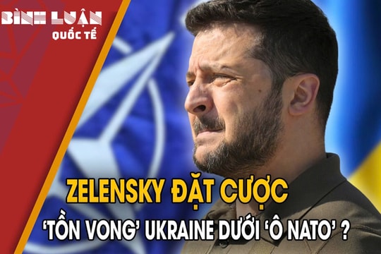 Ông Zelensky chuyển hướng: Đặt cược tương lai Ukraine dưới 'ô NATO'?
