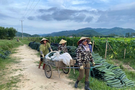 Thời tiết Thanh Hóa, Hà Tĩnh ngày 4/12: Sáng sớm và đêm trở lạnh, ngày nắng yếu