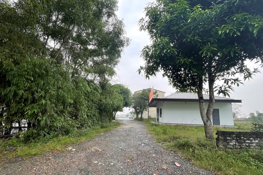 Bất thường về việc chỉnh lý đất đai ở xã vừa sáp nhập vào TP. Vinh