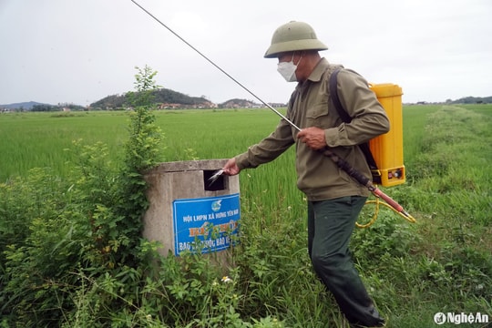 Những cánh đồng dần sạch rác thải thuốc bảo vệ thực vật ở Nghệ An