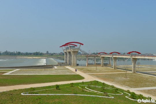 Kiện toàn Ban chỉ đạo quốc gia về ODA và vốn vay ưu đãi