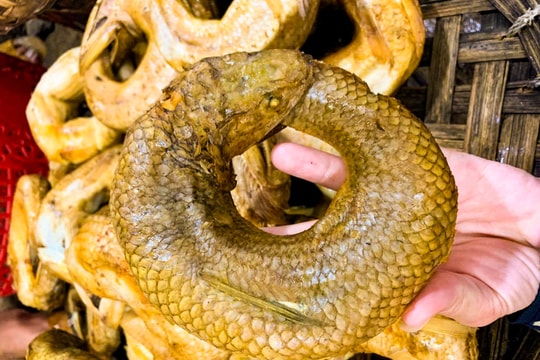 Làng nghề chế biến hải sản Nghệ An vào vụ Tết