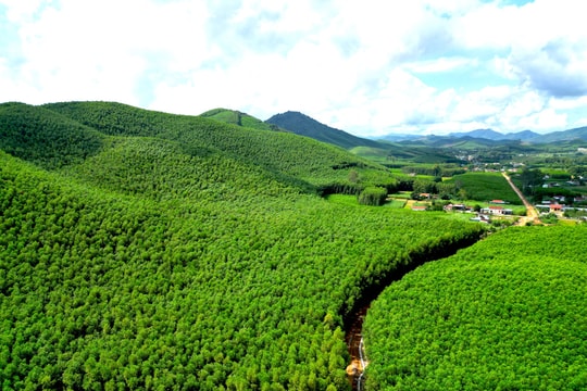 Hành trình về đích huyện nông thôn mới nâng cao của Yên Thành