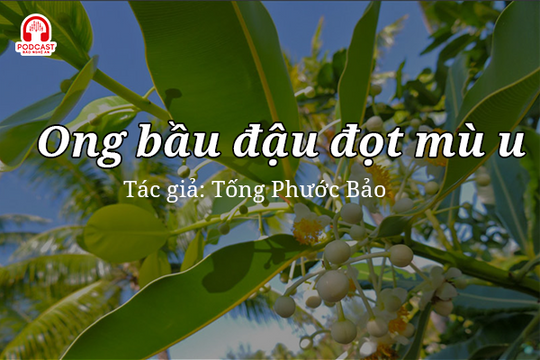 Đọc truyện đêm khuya: Ong bầu đậu đọt mù u