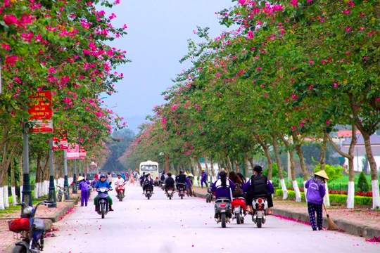 8 xã ở Nghệ An đăng ký về đích nông thôn mới kiểu mẫu năm 2025