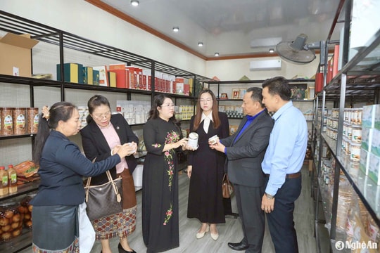 Đoàn đại biểu Trung ương Đoàn Thanh niên nhân dân cách mạng Lào triển khai các hoạt động ý nghĩa tại Nghệ An