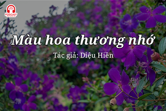Tản văn hay: Màu hoa thương nhớ