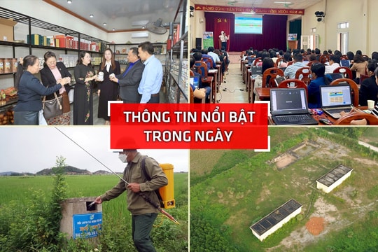 Nghệ An: Thông tin nổi bật ngày 7/12
