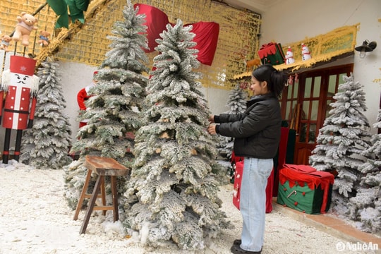 Nhu cầu trang trí trọn gói tăng cao, thị trường bán lẻ đồ trang trí Noel trầm lắng