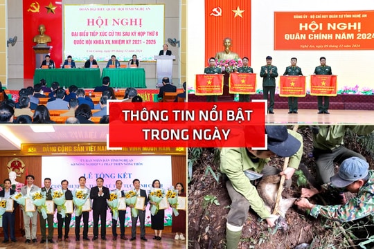 Nghệ An: Thông tin nổi bật 9/12