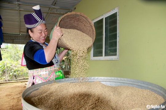 Từ gạo chống đói đến đặc sản ‘cung không đủ cầu’ tại Nghệ An