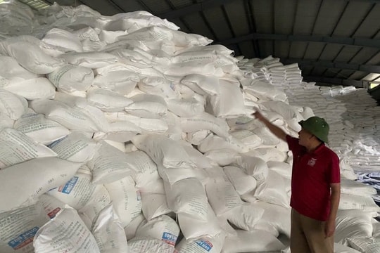 Tinh bột sắn khó tiêu thụ, các nhà máy ở Nghệ An tồn kho nhiều