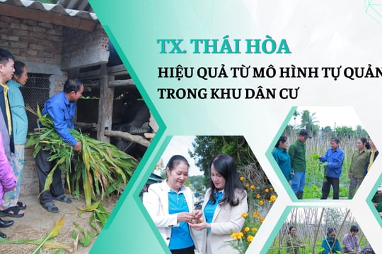 Hiệu quả từ mô hình tự quản trong khu dân cư ở thị xã Thái Hòa