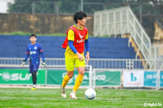 Sông Lam Nghệ An quyết định không chiêu mộ trung vệ Nhật Bản