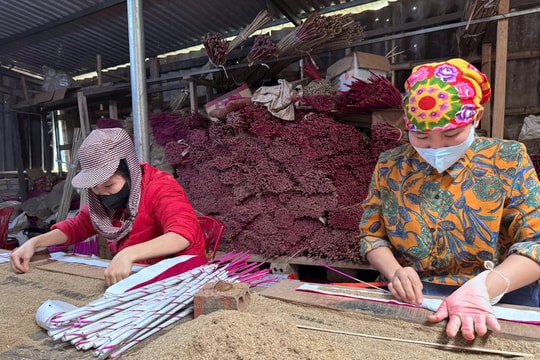 Thủ phủ hương trầm Nghệ An hối hả chuẩn bị đơn hàng Tết