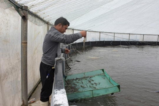 Thời tiết Thanh Hóa, Hà Tĩnh ngày 6/2: Mây thay đổi, đêm mưa vài nơi, trời rét