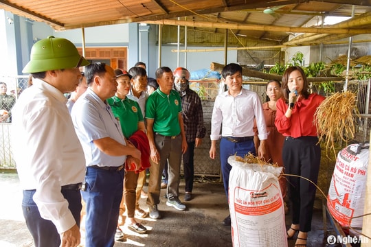 Nghệ An đẩy mạnh truyền thông, vận động nông dân xử lý rác thải