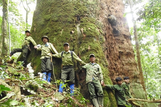 Bộ Nông nghiệp và Phát triển nông thôn triển khai dự án hơn 4 triệu USD tại Nghệ An