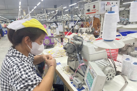 Mức lương cao nhất trong các doanh nghiệp ở Nghệ An là hơn 63 triệu đồng/tháng