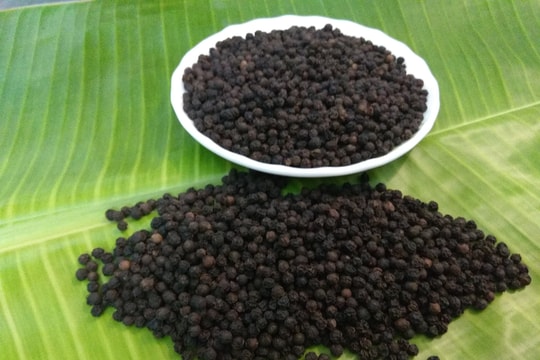 Giá tiêu hôm nay 18/12/2024: Tăng nhẹ tại Tây Nguyên