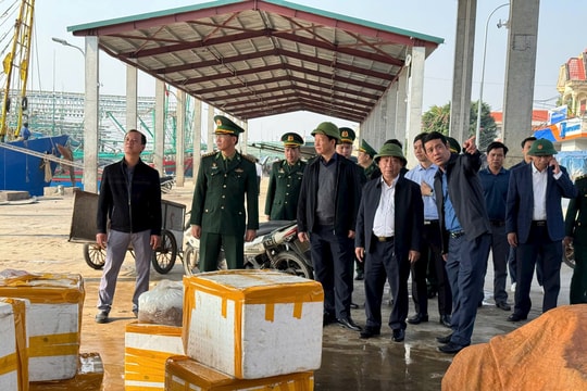 Nghệ An xử phạt 272 tàu cá vi phạm IUU với số tiền hơn 5 tỷ đồng