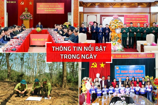 Nghệ An: Thông tin nổi bật ngày 19/12
