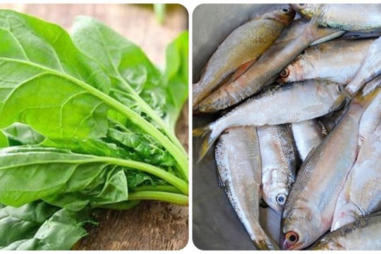 10 thực phẩm giàu Omega-3 ai cũng cần biết