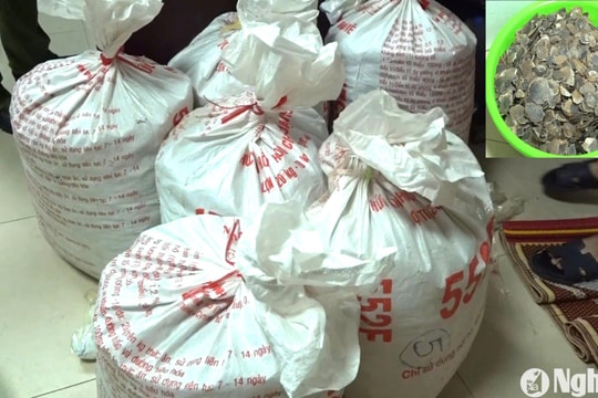 Triệt xóa nhóm đối tượng vận chuyển, tàng trữ, buôn bán cá thể, sản phẩm động vật quý hiếm