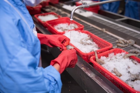 Xuất khẩu thuỷ sản năm 2024 ước đạt 10 tỷ USD