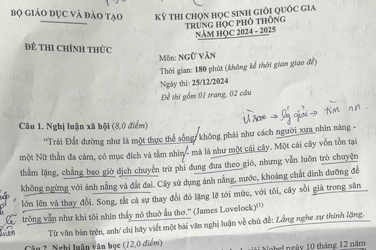 Đề thi Ngữ văn học sinh giỏi quốc gia năm học 2024-2025