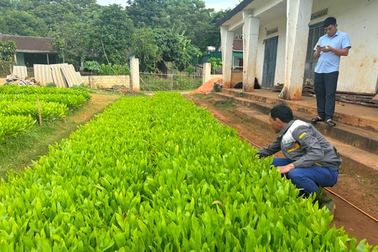 Doanh nghiệp, nông lâm trường Nghệ An cập nhật, đối thoại về Luật Đất đai 2024