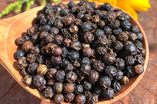 Giá tiêu hôm nay 26/12/2024: Giữ nguyên giá