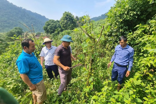 Bảo vệ, phát huy giá trị di sản thiên nhiên Khu Dự trữ sinh quyển miền Tây Nghệ An